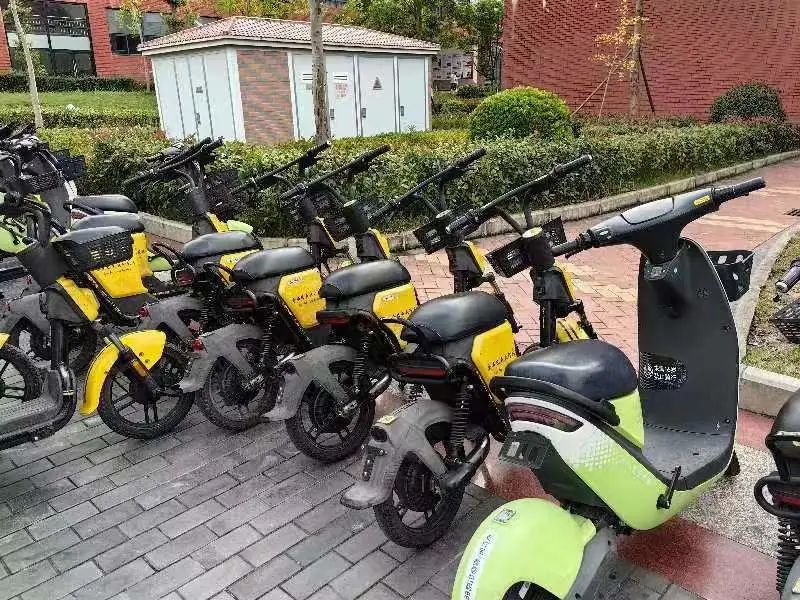 川科完美｜共享单车齐摆放，学习雷锋我先行(图9)